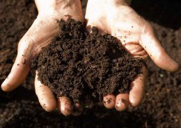 کدام نوع خاک برای کشاورزی مناسب است