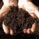 کدام نوع خاک برای کشاورزی مناسب است
